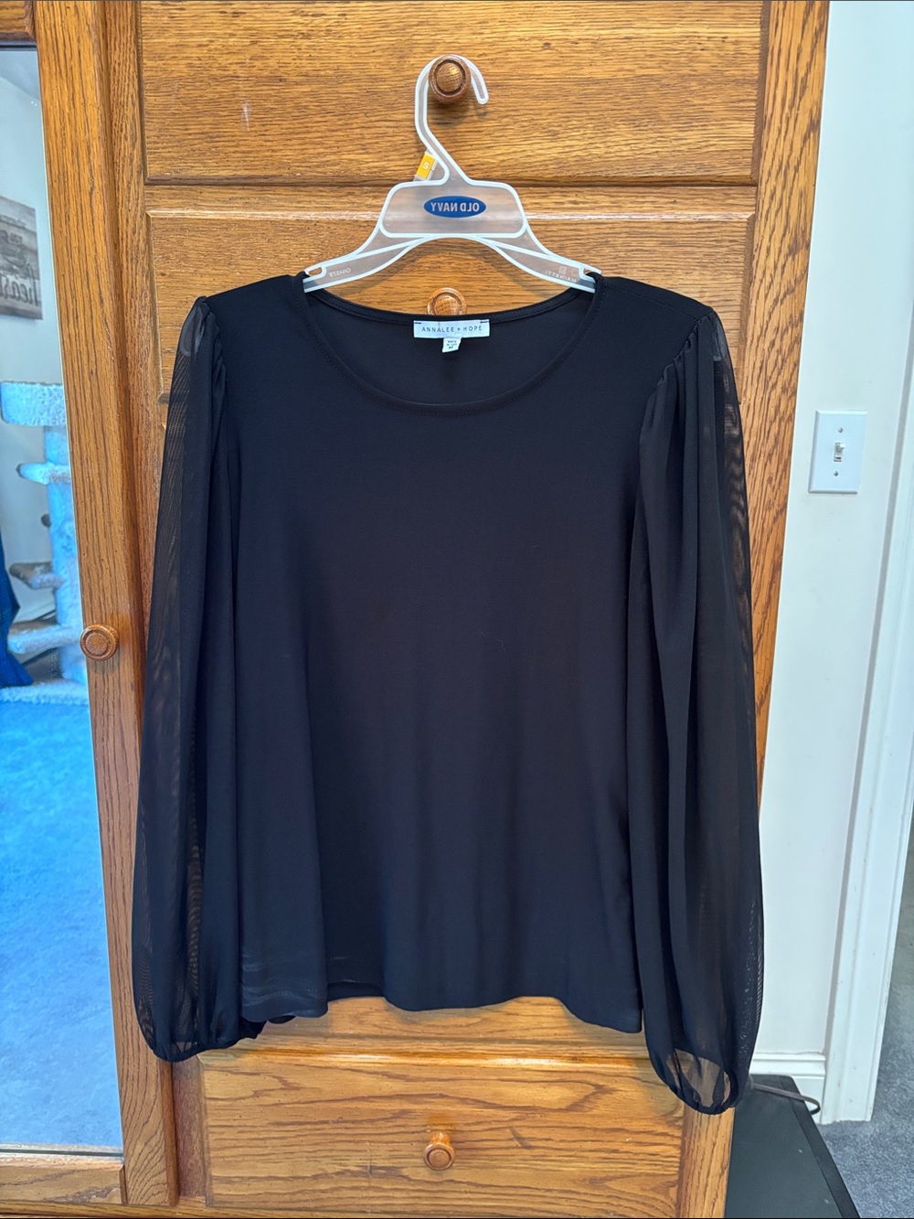 Annalee Black Sheer Long-Sleeve Blouse